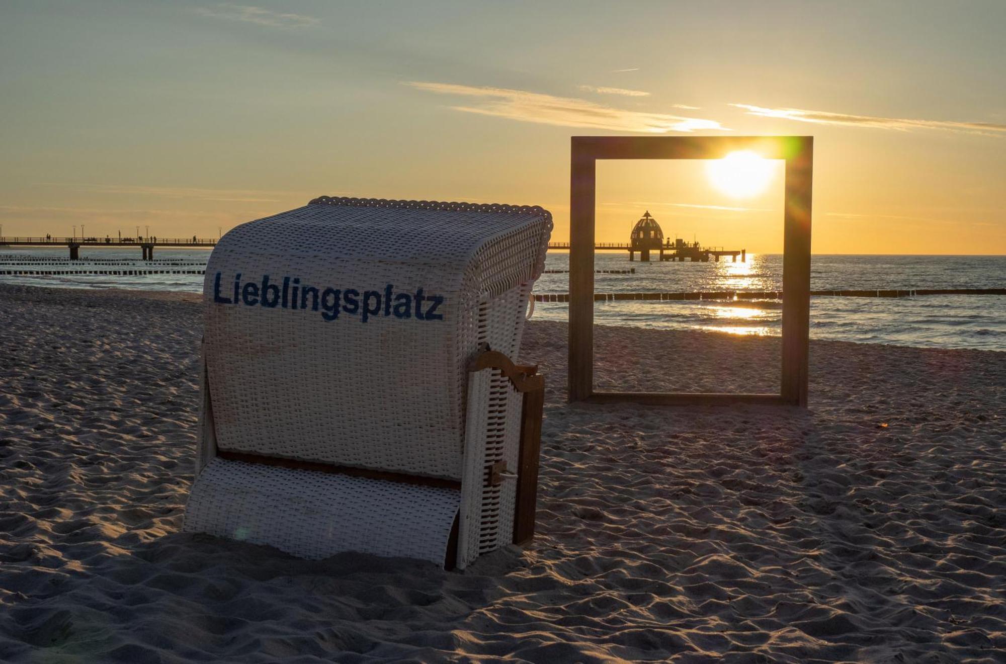 Seehund An Der Seebruecke Zingst Esterno foto