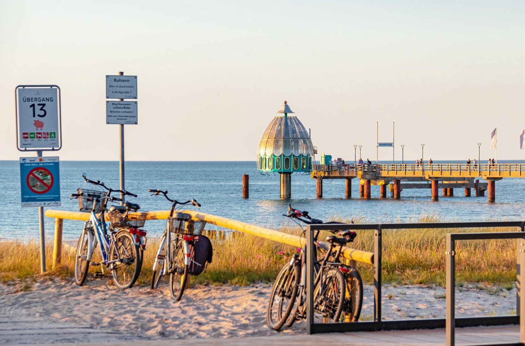 Seehund An Der Seebruecke Zingst Esterno foto